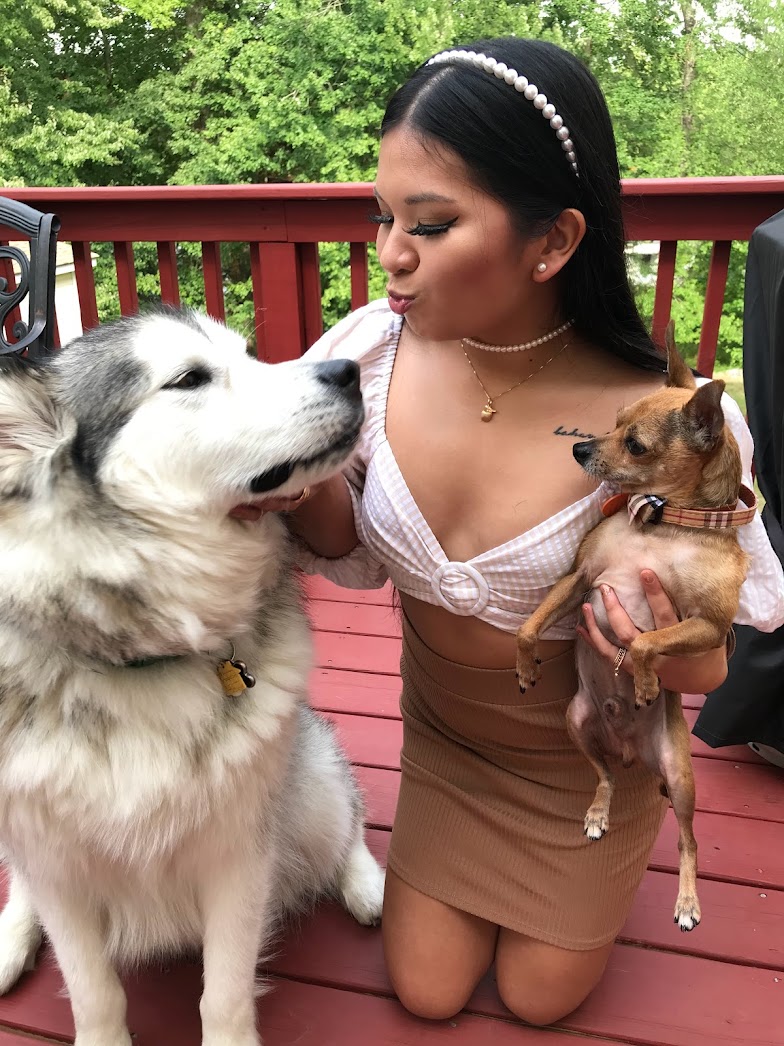 my dogs